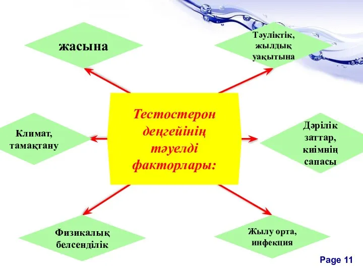 Тестостерон деңгейінің тәуелді факторлары: жасына Тәуліктік, жылдық уақытына Климат, тамақтану Физикалық