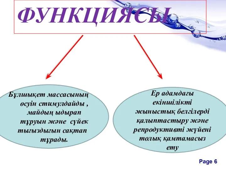 ФУНКЦИЯСЫ Бұлшықет массасының өсуін стимулдайды , майдың ыдырап тұруын және сүйек