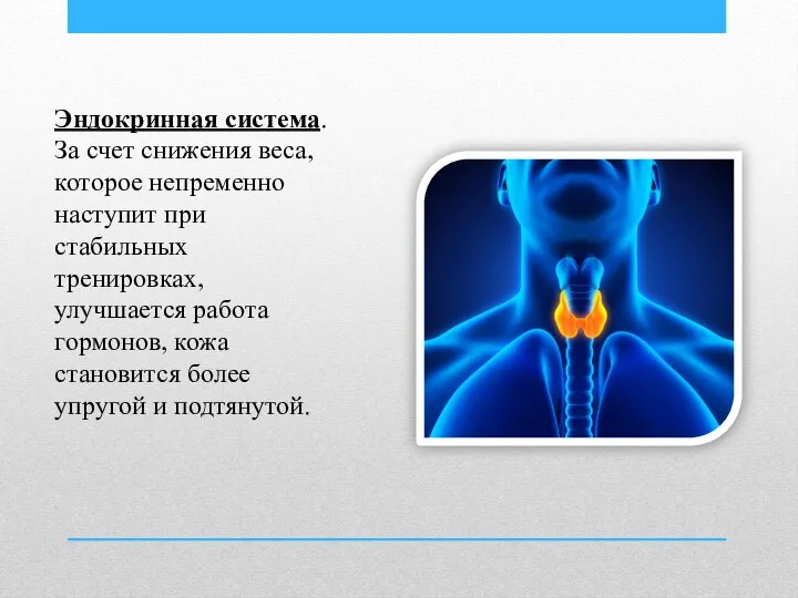 Эндокринная система. За счет снижения веса, которое непременно наступит при стабильных