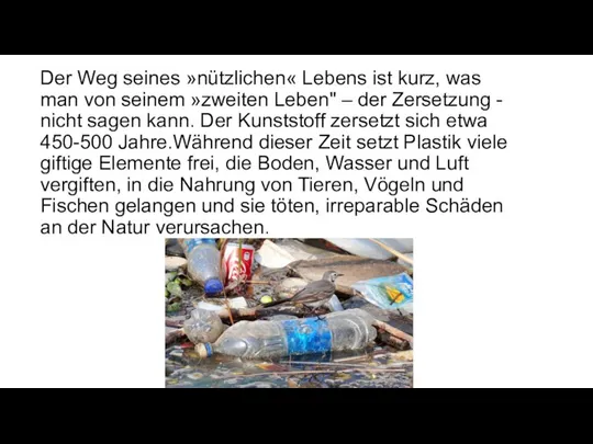 Der Weg seines »nützlichen« Lebens ist kurz, was man von seinem