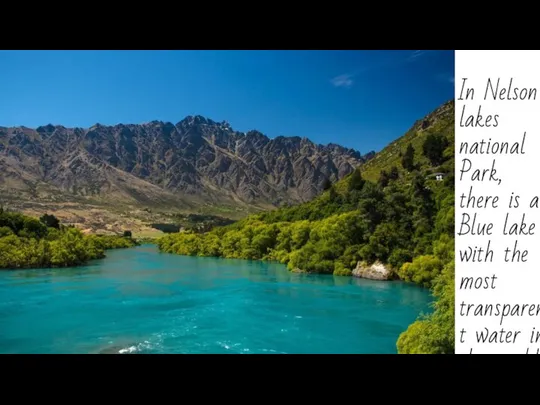 In Nelson lakes national Park, there is a Blue lake with