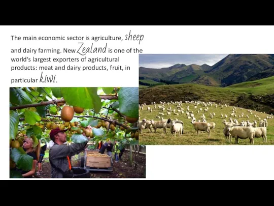 The main economic sector is agriculture, sheep and dairy farming. New