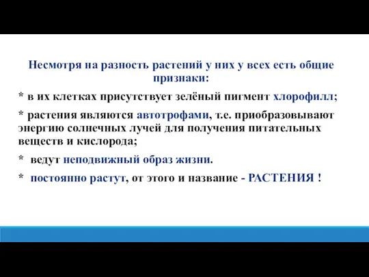 Несмотря на разность растений у них у всех есть общие признаки: