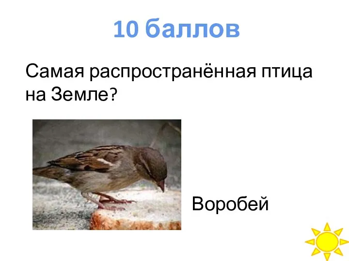 10 баллов Самая распространённая птица на Земле?