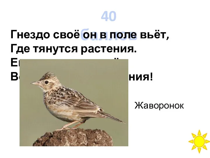 40 баллов Гнездо своё он в поле вьёт, Где тянутся растения.