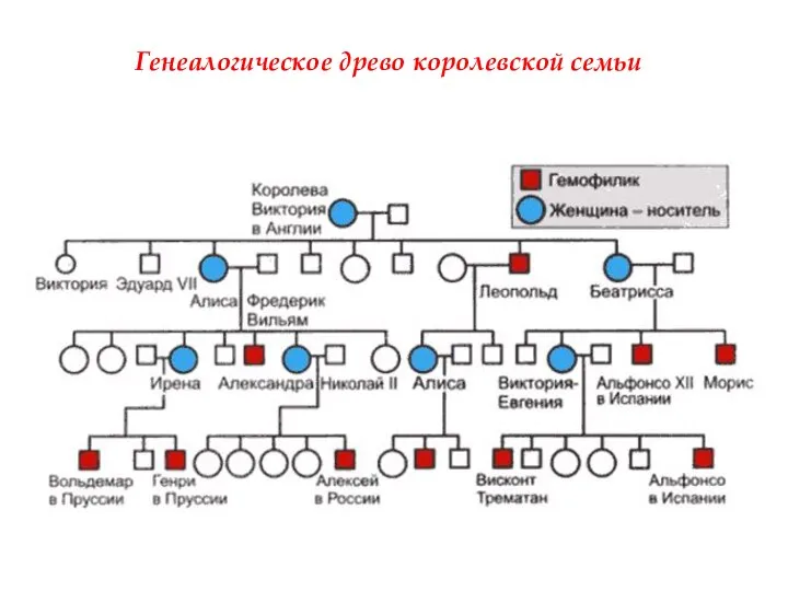 Генеалогическое древо королевской семьи