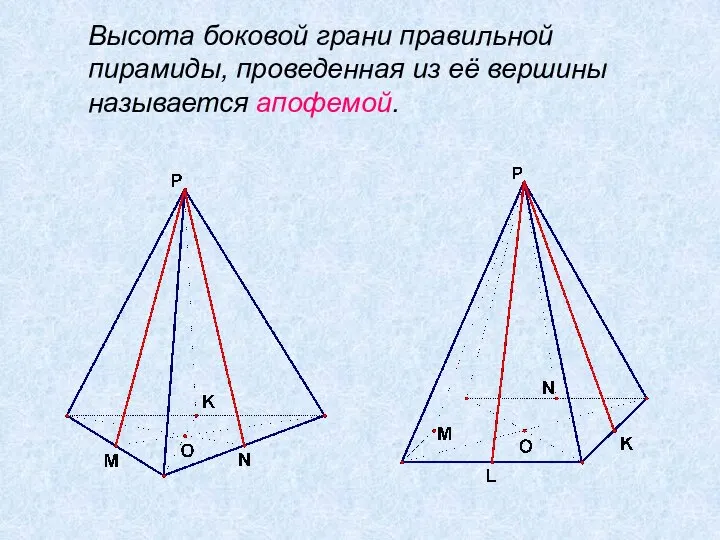 Высота боковой грани правильной пирамиды, проведенная из её вершины называется апофемой.