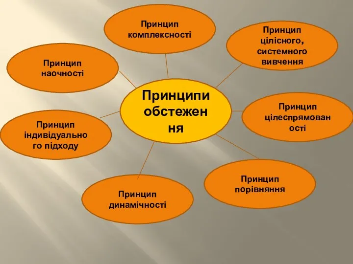 Принципи обстеження Принцип цілісного, системного вивчення Принцип комплексності Принцип наочності Принцип