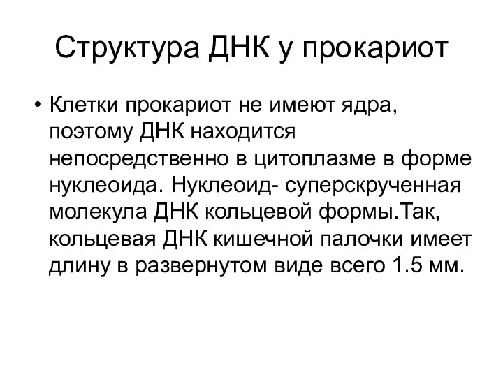 Структура ДНК у прокариот Клетки прокариот не имеют ядра, поэтому ДНК