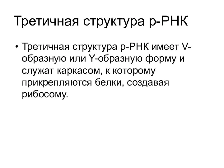 Третичная структура р-РНК Третичная структура р-РНК имеет V-образную или Y-образную форму