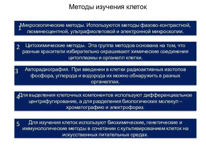 Методы изучения клеток Микроскопические методы. Используются методы фазово-контрастной, люминесцентной, ультрафиолетовой и