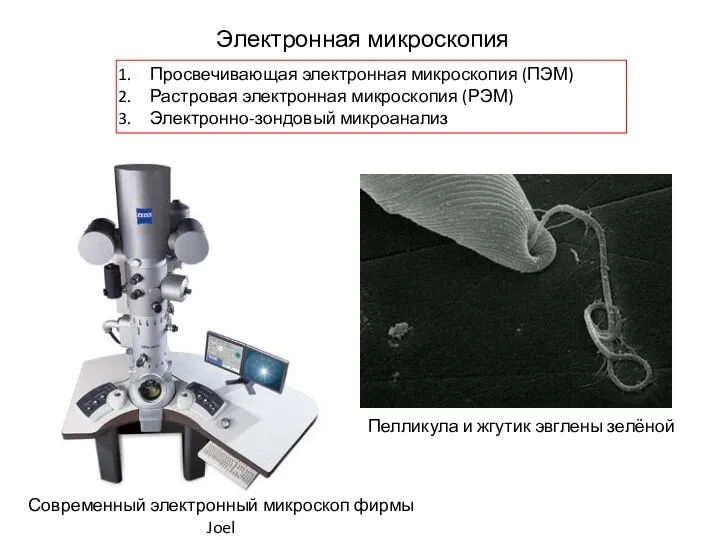Электронная микроскопия Просвечивающая электронная микроскопия (ПЭМ) Растровая электронная микроскопия (РЭМ) Электронно-зондовый