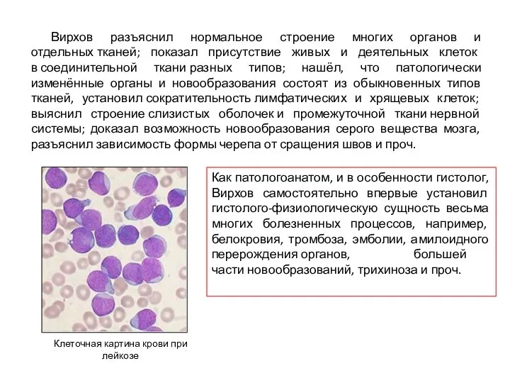 Вирхов разъяснил нормальное строение многих органов и отдельных тканей; показал присутствие