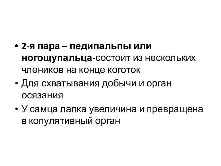 2-я пара – педипальпы или ногощупальца-состоит из нескольких члеников на конце