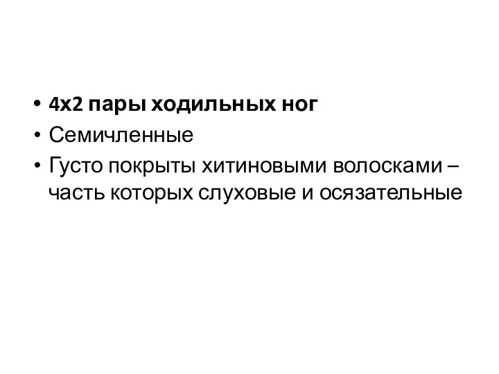 4х2 пары ходильных ног Семичленные Густо покрыты хитиновыми волосками –часть которых слуховые и осязательные