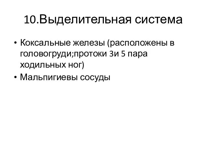 10.Выделительная система Коксальные железы (расположены в головогруди;протоки 3и 5 пара ходильных ног) Мальпигиевы сосуды