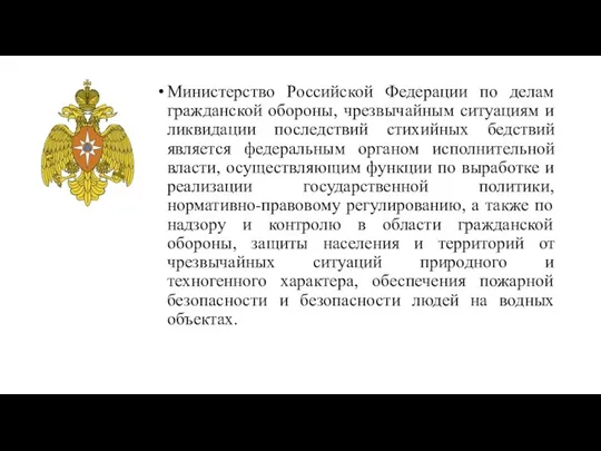 Министерство Российской Федерации по делам гражданской обороны, чрезвычайным ситуациям и ликвидации