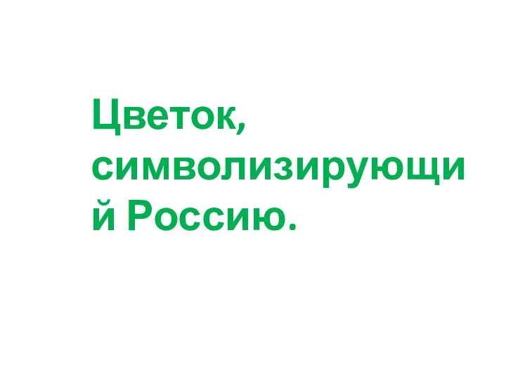 Цветок, символизирующий Россию.