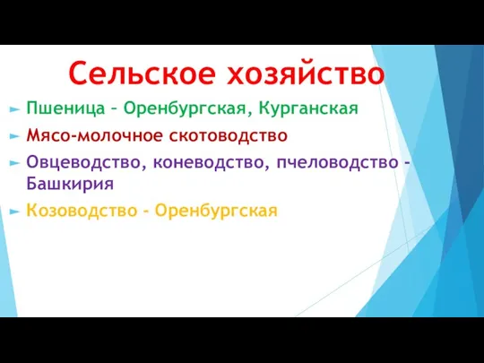 Сельское хозяйство Пшеница – Оренбургская, Курганская Мясо-молочное скотоводство Овцеводство, коневодство, пчеловодство - Башкирия Козоводство - Оренбургская