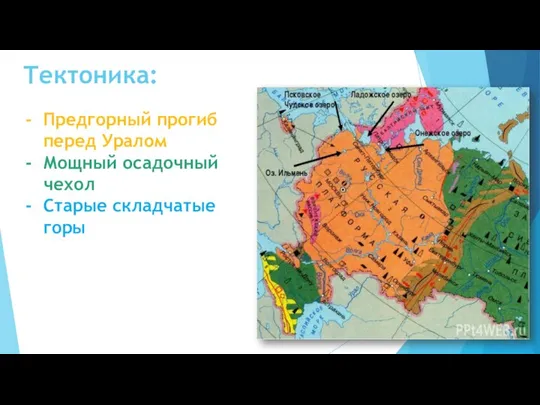 Тектоника: Предгорный прогиб перед Уралом Мощный осадочный чехол Старые складчатые горы