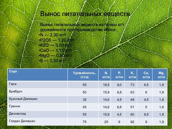 Вынос питательных веществ из почвы кг/т урожайности при производстве яблок: N