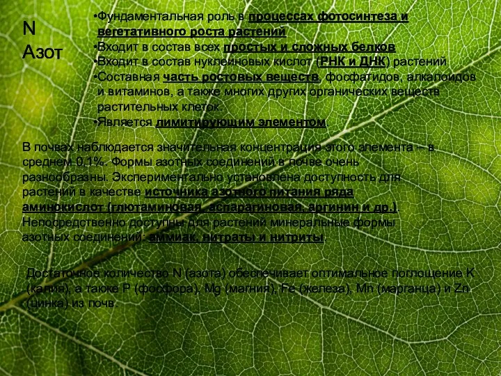 N Азот Фундаментальная роль в процессах фотосинтеза и вегетативного роста растений