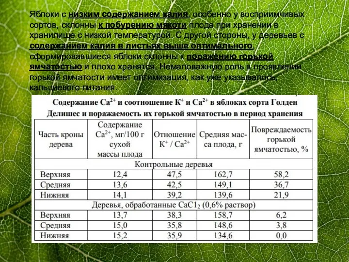 Яблоки с низким содержанием калия, особенно у восприимчивых сортов, склонны к