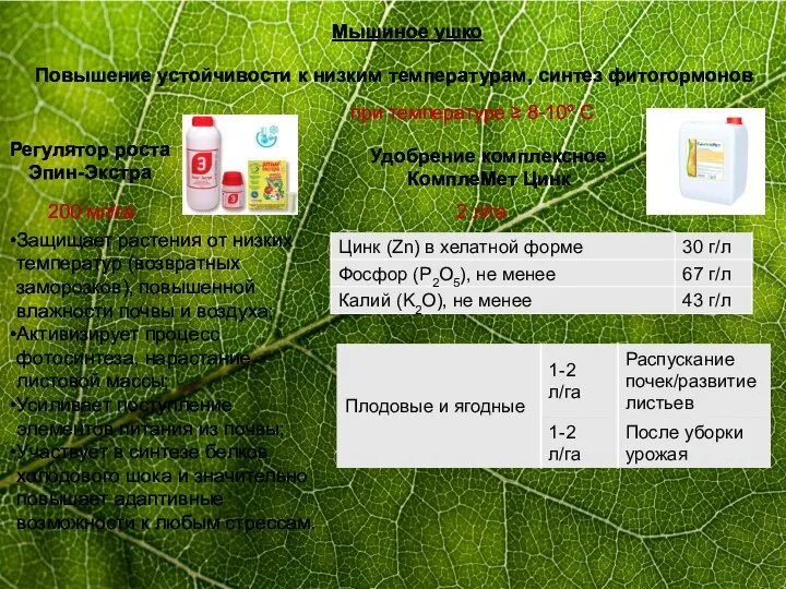 Мышиное ушко Удобрение комплексное КомплеМет Цинк Состав Повышение устойчивости к низким