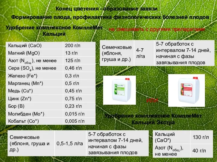 Конец цветения - образование завязи Формирование плода, профилактика физиологических болезней плодов