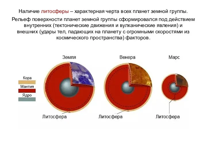 Наличие литосферы – характерная черта всех планет земной группы. Рельеф поверхности