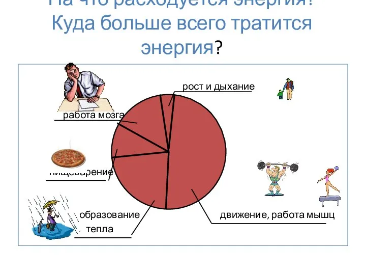 На что расходуется энергия? Куда больше всего тратится энергия? рост и