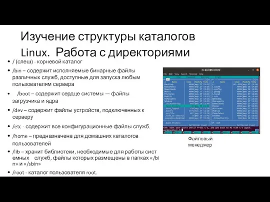 Изучение структуры каталогов Linux. Работа с директориями / (слеш) - корневой