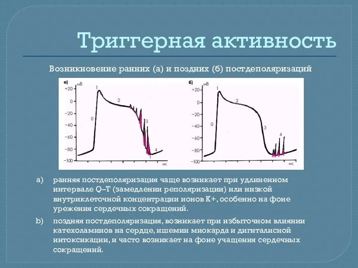 Триггерная активность Возникновение ранних (а) и поздних (б) постдеполяризаций ранняя постдеполяризация