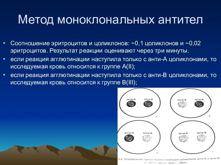 Метод моноклональных антител Соотношение эритроцитов и цоликлонов: ~0,1 цоликлонов и ~0,02