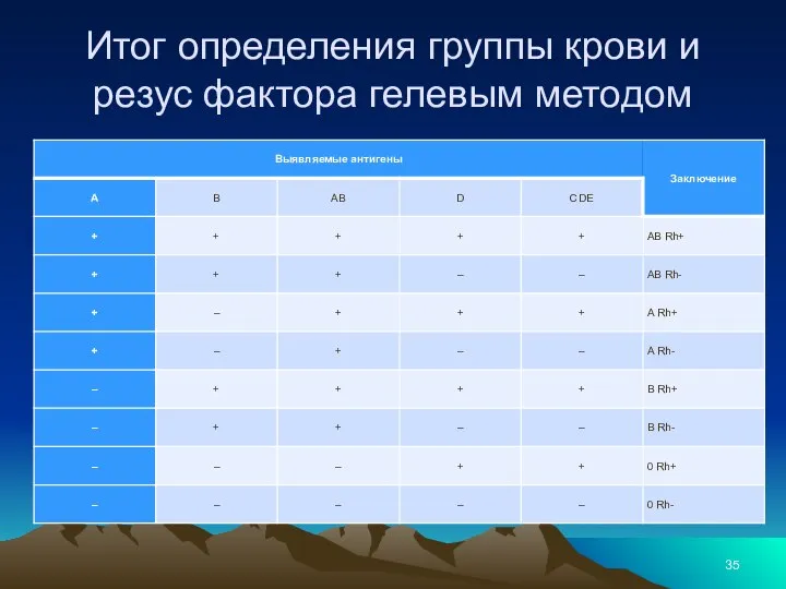 Итог определения группы крови и резус фактора гелевым методом