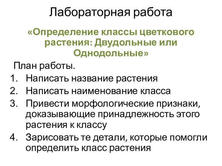 Лабораторная работа «Определение классы цветкового растения: Двудольные или Однодольные» План работы.