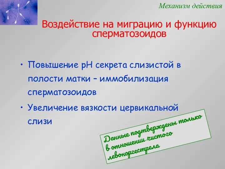 Воздействие на миграцию и функцию сперматозоидов Повышение рН секрета слизистой в