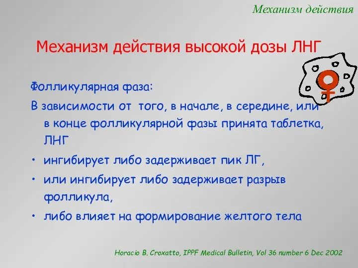 Механизм действия высокой дозы ЛНГ Фолликулярная фаза: В зависимости от того,