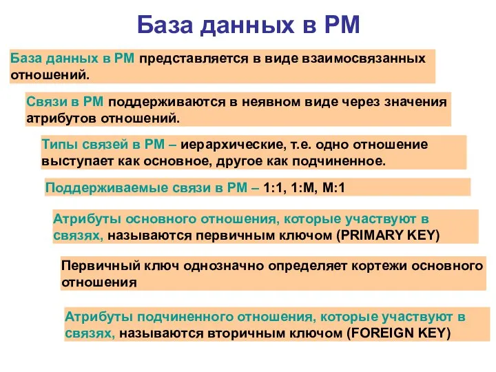 База данных в РМ База данных в РМ представляется в виде