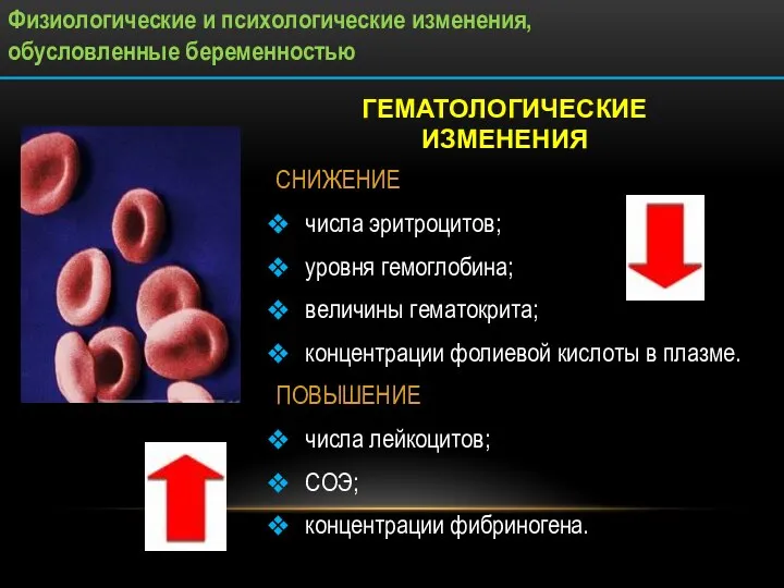 ГЕМАТОЛОГИЧЕСКИЕ ИЗМЕНЕНИЯ СНИЖЕНИЕ числа эритроцитов; уровня гемоглобина; величины гематокрита; концентрации фолиевой