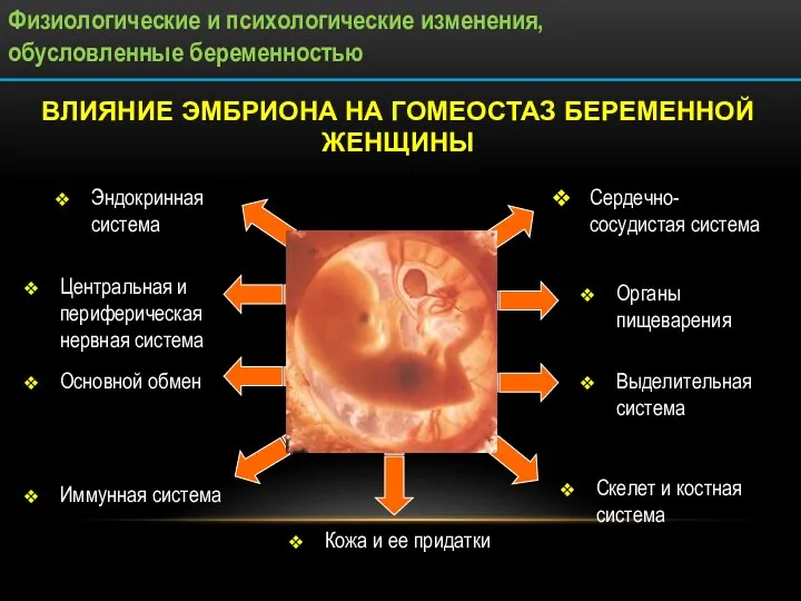 ВЛИЯНИЕ ЭМБРИОНА НА ГОМЕОСТАЗ БЕРЕМЕННОЙ ЖЕНЩИНЫ Сердечно-сосудистая система Выделительная система Органы