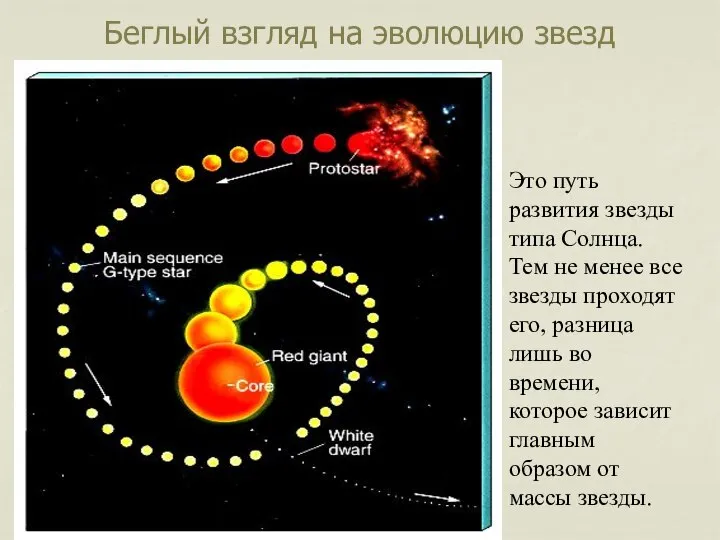 Беглый взгляд на эволюцию звезд Это путь развития звезды типа Солнца.