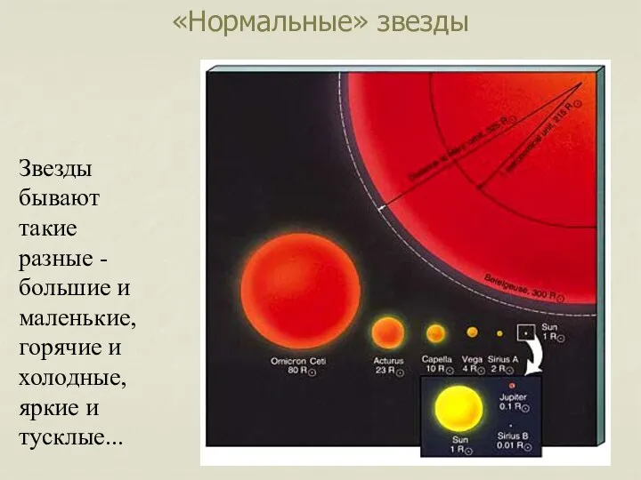 «Нормальные» звезды Звезды бывают такие разные - большие и маленькие, горячие и холодные, яркие и тусклые...