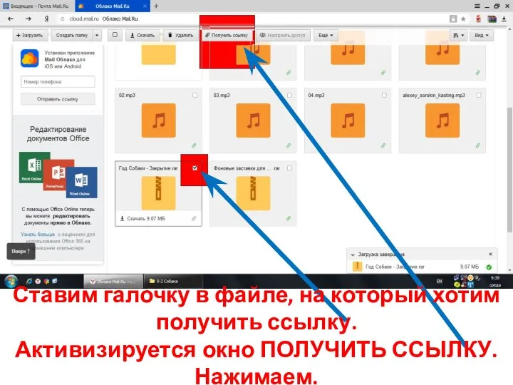 Ставим галочку в файле, на который хотим получить ссылку. Активизируется окно ПОЛУЧИТЬ ССЫЛКУ. Нажимаем.