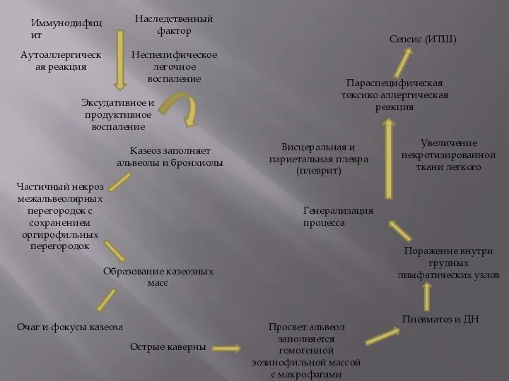 Иммунодифицит Наследственный фактор Аутоаллергическая реакция Неспецифическое легочное воспаление Эксудативное и продуктивное