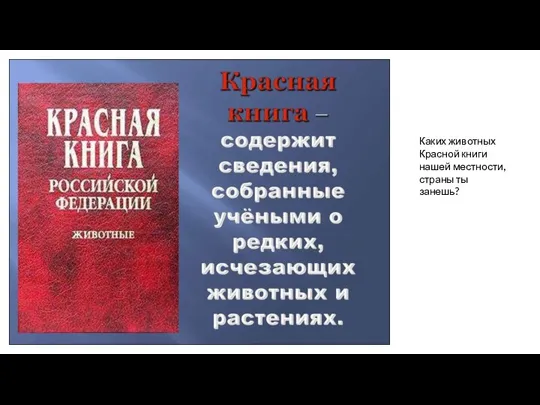 Каких животных Красной книги нашей местности, страны ты занешь?