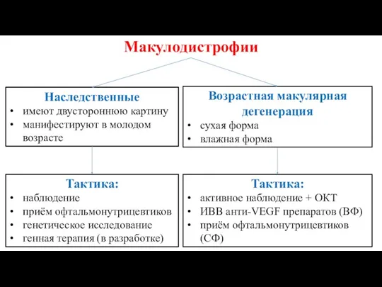 Макулодистрофии Наследственные имеют двустороннюю картину манифестируют в молодом возрасте Возрастная макулярная