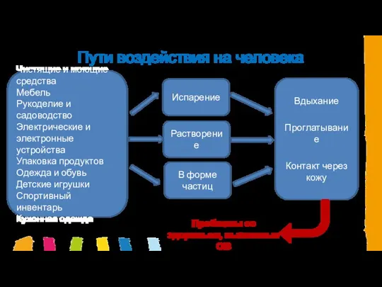 Пути воздействия на человека Чистящие и моющие средства Мебель Рукоделие и