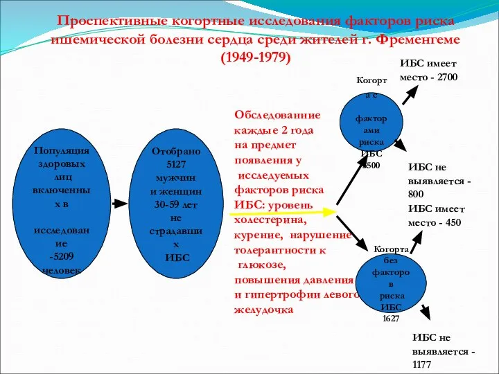 Популяция здоровых лиц включенных в исследование -5209 человек Проспективные когортные исследования