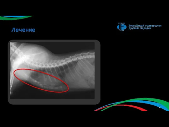 Лечение Рис. 10 – рентгеновский снимок в правой боковой проекции после